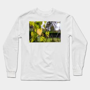 Green and yellow autumn birch leaves Long Sleeve T-Shirt